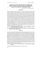 KHẢO SÁT VÙNG GEN 16S rDNA CỦA MỘT SỐ DÒNG VI KHUẨN CÓ KHẢ NĂNG CỐ ĐỊNH ĐẠM Ở ĐẤT VÙNG RỄ LÚA TỈNH ĐỒNG THÁP potx