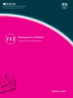 Management of Obesity : A national clinical guideline docx