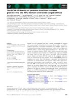 Báo cáo khoa học: The ROQUIN family of proteins localizes to stress granules via the ROQ domain and binds target mRNAs pdf
