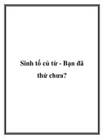 Sinh tố củ từ - Bạn đã thử chưa? doc