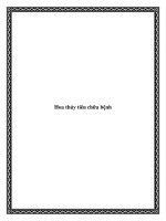 Hoa thủy tiên chữa bệnh pdf