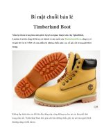 Bí mật chuỗi bán lẻ Timberland Boot doc