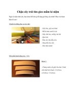 Chậu cây trái tim gieo mầm kỉ niệm doc