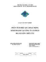 phân tích hiệu quả hoạt động kinh doanh tại công ty cổ phần bia sài gòn- miền tây