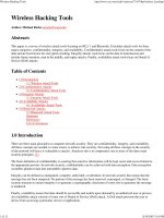 Wireless hacking tools