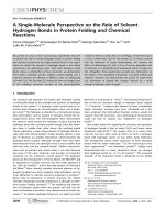 A Single-Molecule Perspective on the Role of Solvent Hydrogen Bonds in Protein Folding and Chemical Reactions pptx