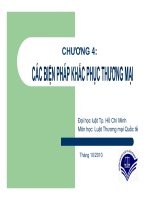 bài giảng các biện pháp khắc phục thương mại - trần viết dũng