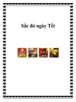 Sắc đỏ ngày Tết potx