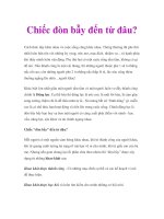 Chiếc đòn bẫy đến từ đâu? docx