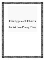 Con Ngựa cách Chơi và bài trí theo Phong Thủy doc
