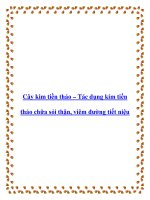 Cây kim tiền thảo – Tác dụng kim tiền thảo chữa sỏi thận, viêm đường tiết niệu doc