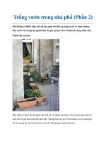 Trồng vườn trong nhà phố (Phần 2) pptx