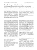 Báo cáo Y học: The cold-active lipase of Pseudomonas fragi Heterologous expression, biochemical characterization and molecular modeling pdf