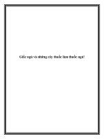 Giấc ngủ và những cây thuốc làm thuốc ngủ! pot