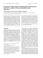 Báo cáo khoa học: Acetyl-CoA:1-O-alkyl-sn-glycero-3-phosphocholine acetyltransferase (lyso-PAF AT) activity in cortical and medullary human renal tissue docx