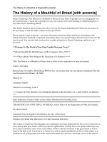 The History of a Mouthful docx