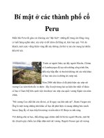 Bí mật ở các thành phố cổ Peru pot