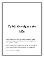 Tự búi tóc chignon yêu kiều potx