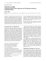 Báo cáo Y học: Chromatin assembly Cooperation between histone chaperones and ATP-dependent nucleosome remodeling machines docx
