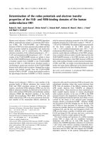 Báo cáo khoa học: Determination of the redox potentials and electron transfer properties of the FAD- and FMN-binding domains of the human oxidoreductase NR1 doc