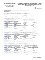 Đề thi - Đáp án môn Tiếng Pháp - Tốt nghiệp THPT Chương trình Chuẩn và Nâng cao ( 2013 ) Mã đề 536 doc