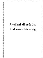9 loại hình để bước đầu kinh doanh trên mạng docx