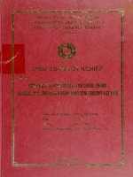 Nghiên cứu hoạt động tự doanh chứng khoán tại công ty chứng khoán Ngân hàng công thương Việt Nam