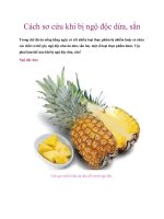 Cách sơ cứu khi bị ngộ độc dứa, sắn doc