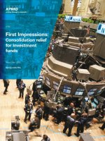 FIRST IMPRESSIONS: CONSOLIDATION RELIEF FOR INVESTMENT FUNDS pptx
