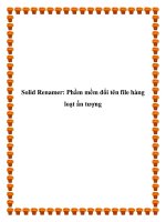 Solid Renamer: Phầm mềm đổi tên file hàng loạt ấn tượng pot