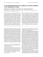 Báo cáo Y học: A new high afﬁnity binding site for suppressor of cytokine signaling-3 on the erythropoietin receptor potx