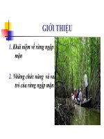 Giới thiệu rừng ngập mặn potx