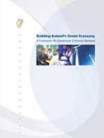 Building Ireland’s Smart Economy: A Framework for Sustainable Economic Renewal potx