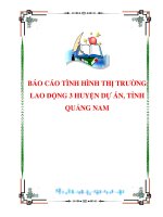 BÁO CÁO TÌNH HÌNH THỊ TRƯỜNG LAO ĐỘNG 3 HUYỆN DỰ ÁN, TỈNH QUẢNG NAM potx
