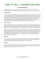 HOW TO KILL A CHICKEN FOR FOOD ppt