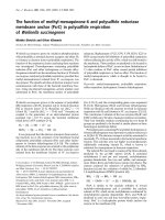 Báo cáo Y học: The function of methyl-menaquinone-6 and polysul®de reductase membrane anchor (PsrC) in polysul®de respiration ofWolinella succinogenes doc