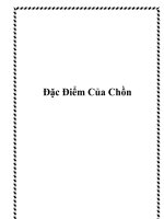 Đặc Điểm Của Chồn potx