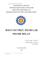 Báo cáo thực hành Lab Frame Relay pot