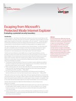 Escaping from Microsoft’s Protected Mode Internet Explorer pptx