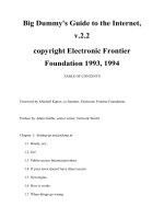 Big Dummy''''s Guide to the Internet doc