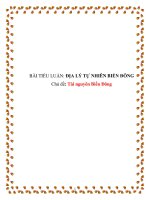 Tiểu luận:Tài nguyên Biển Đông pptx