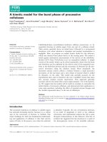 Báo cáo khoa học: A kinetic model for the burst phase of processive cellulases pptx