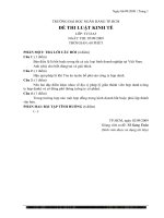 Đề thi luật kinh tế lớp TC33A5 pdf