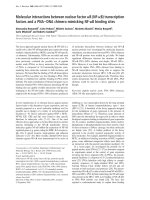 Báo cáo Y học: Molecular interactions between nuclear factor kB (NF-kB) transcription factors and a PNA– DNA chimera mimicking NF-kB binding sites doc