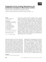 Báo cáo khoa học: Cooperation of two carotene desaturases in the production of lycopene in Myxococcus xanthus pot