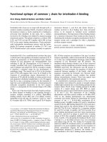 Báo cáo Y học: Functional epitope of common c chain for interleukin-4 binding ppt