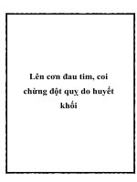 Lên cơn đau tim, coi chừng đột quỵ do huyết khối potx