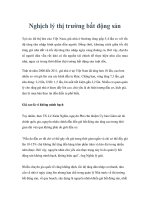 Nghịch lý thị trường bất động sản docx