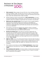 Brilliant At The Basics of Business 100:1 pdf