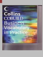 Business vocabulary in practice pptx